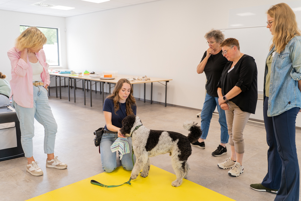 Demonstration with dog during a workshop.