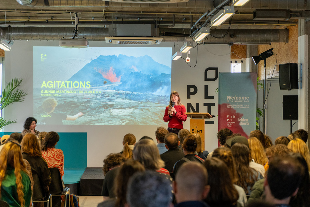 Presentation in front of audience and next to beamer projection.